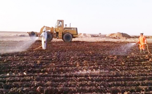 生物修復(fù)技術(shù)